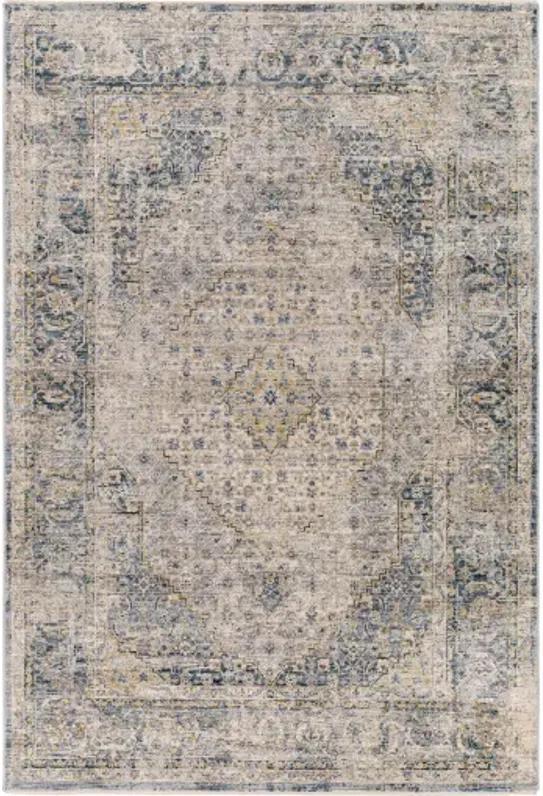 Aspendos APS-2300 2'7" x 7'3" Rug