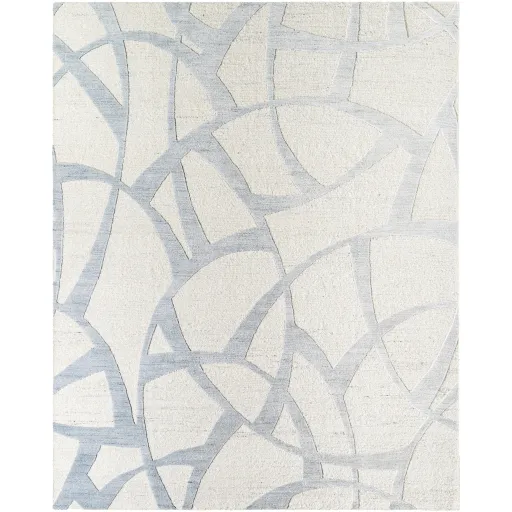 Ombre OMB-2302 6' x 9' Handmade Rug