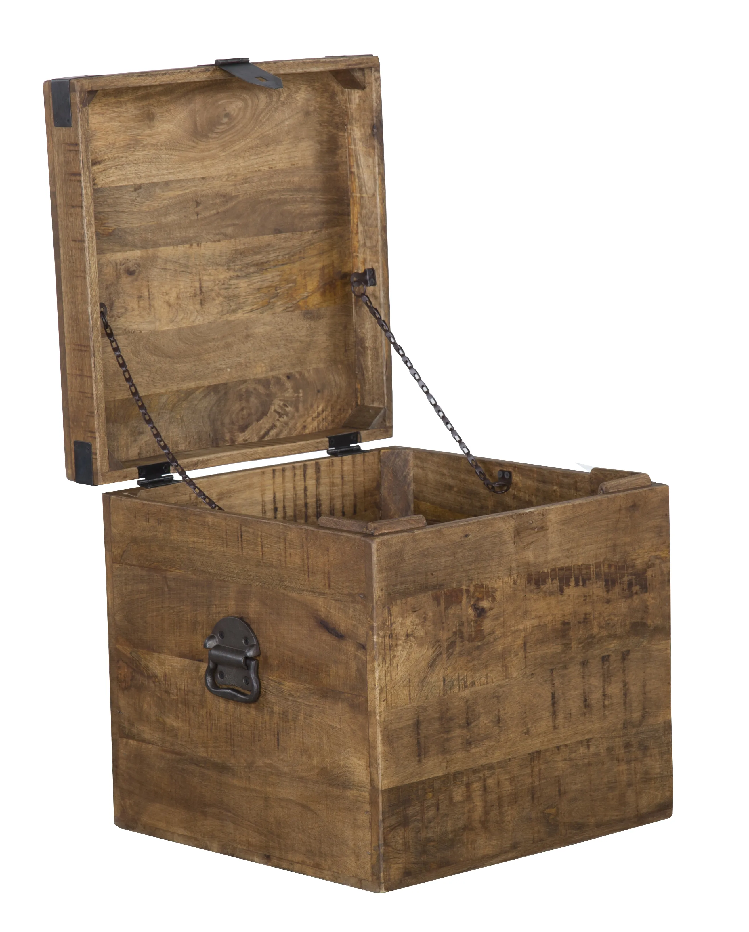 Livingston 18 inch Square Trunk by Kosas Home