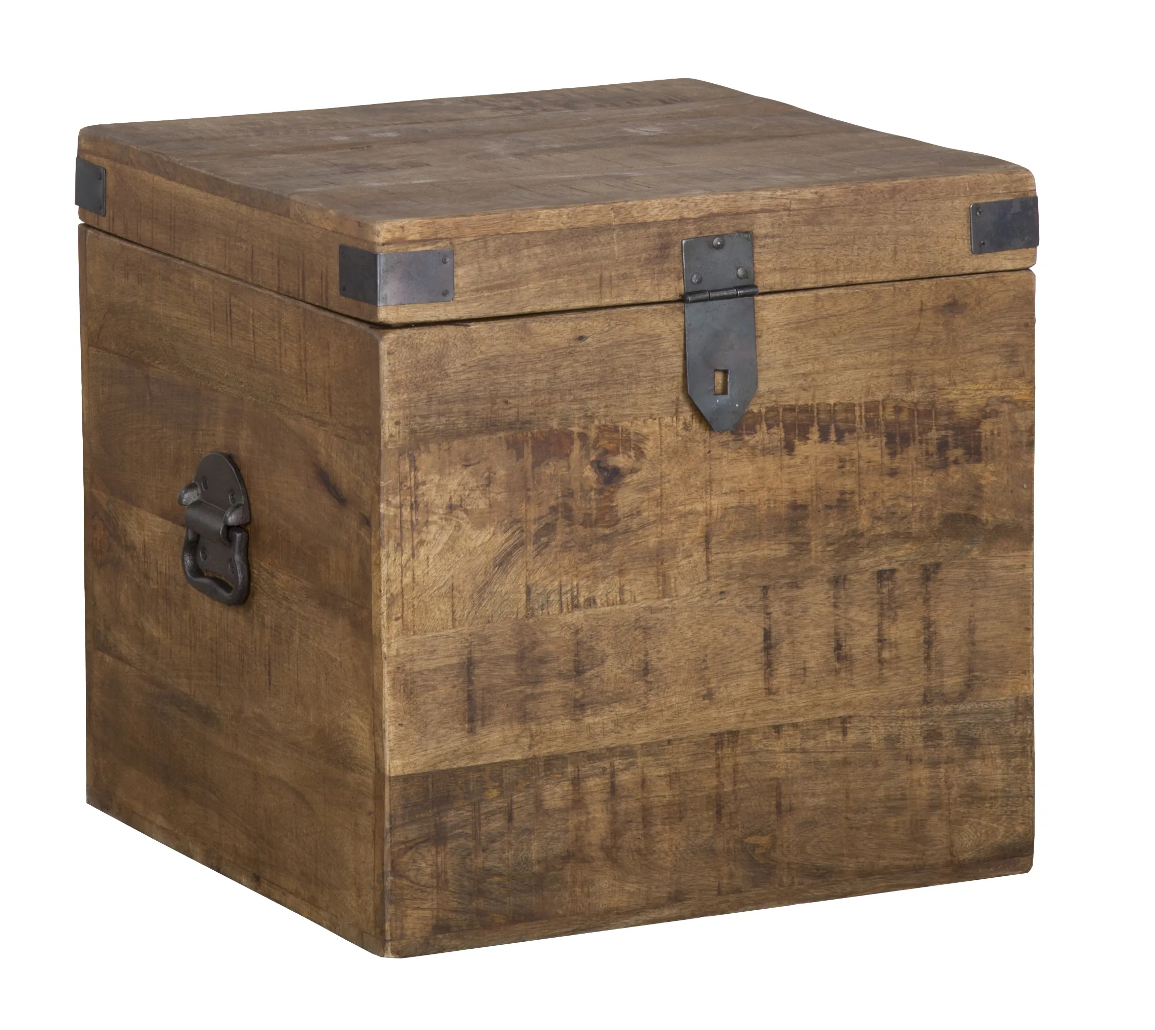 Livingston 18 inch Square Trunk by Kosas Home