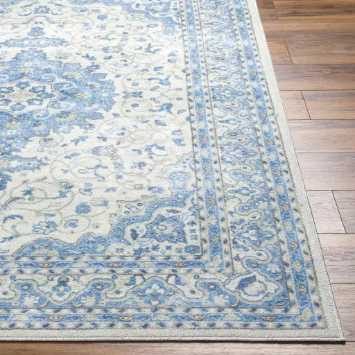 Hera HRH-2308 8'10" x 11'10" Machine Woven Rug