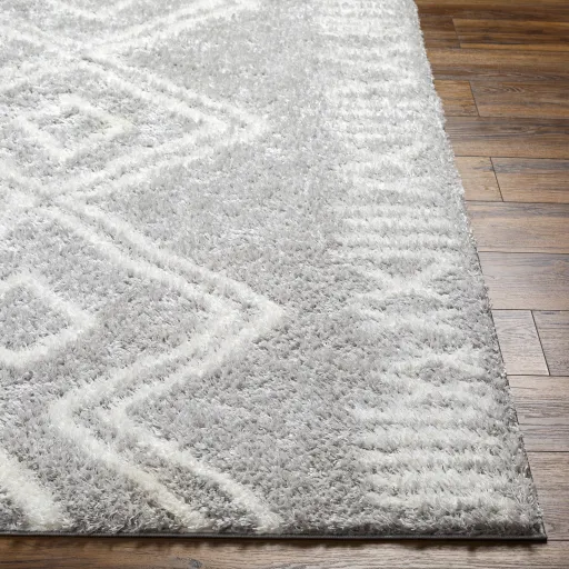 Cloudy Shag CDG-2312 6'7" x 9' Machine Woven Rug