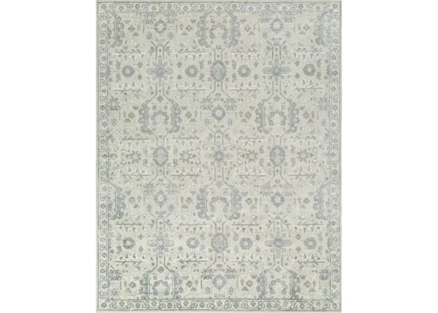 Aleyna ANE-2300 10' x 14' Handmade Rug