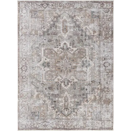 Embrace EMA-2308 6'7" x 9' Machine Woven Rug