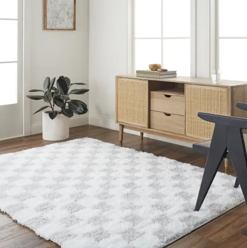 Urban Shag USG-2349 5'3" x 7'3" Machine Woven Rug