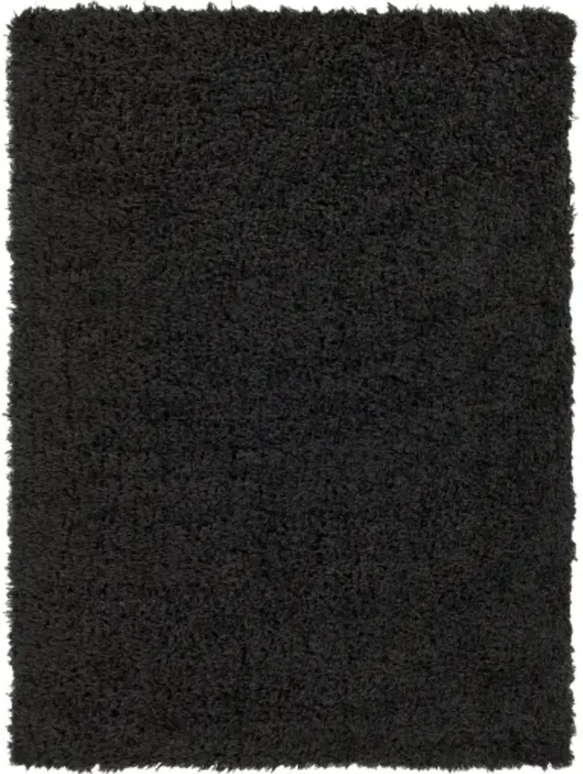 Angora 2'3" x 3'9" Rug