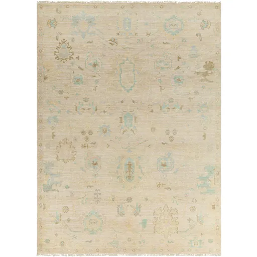 Antalya AAT-2308 2' x 3' Handmade Rug