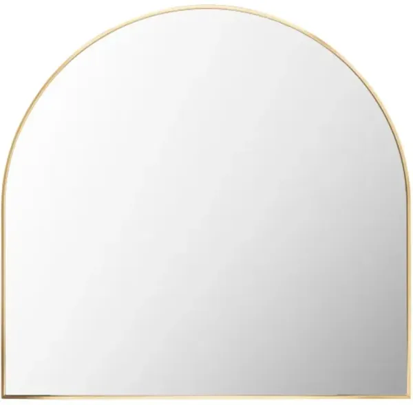 Aranya Mirror
