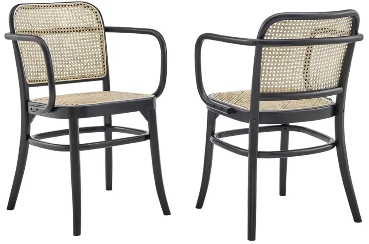 Winona Wood Dining Chair Set of 2