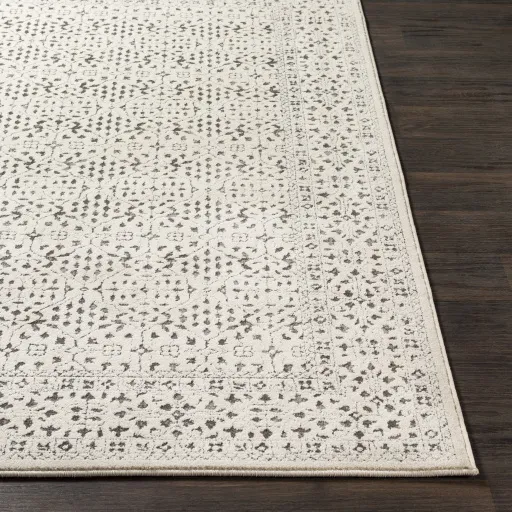 Bahar 5'3" x 7'3" Rug