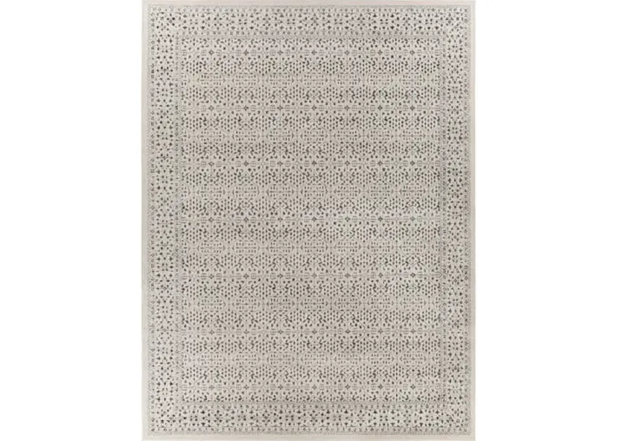 Bahar 5'3" x 7'3" Rug