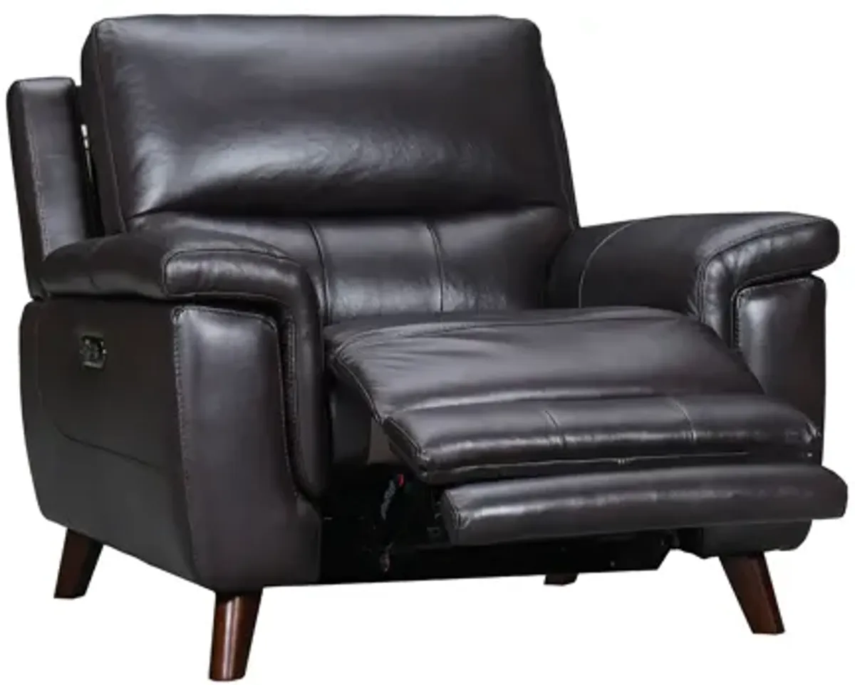 Lizette Brown Leather Power Recliner with USB