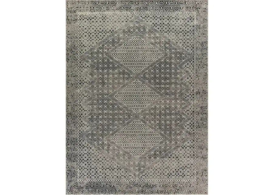 Lavadora 5'3" x 7' Rug