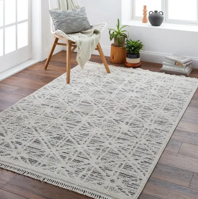 Berlin BLR-2304 6'7" x 9' Machine Woven Rug