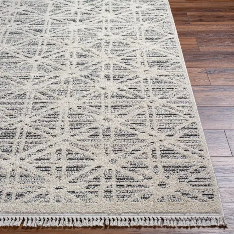 Berlin BLR-2304 6'7" x 9' Machine Woven Rug