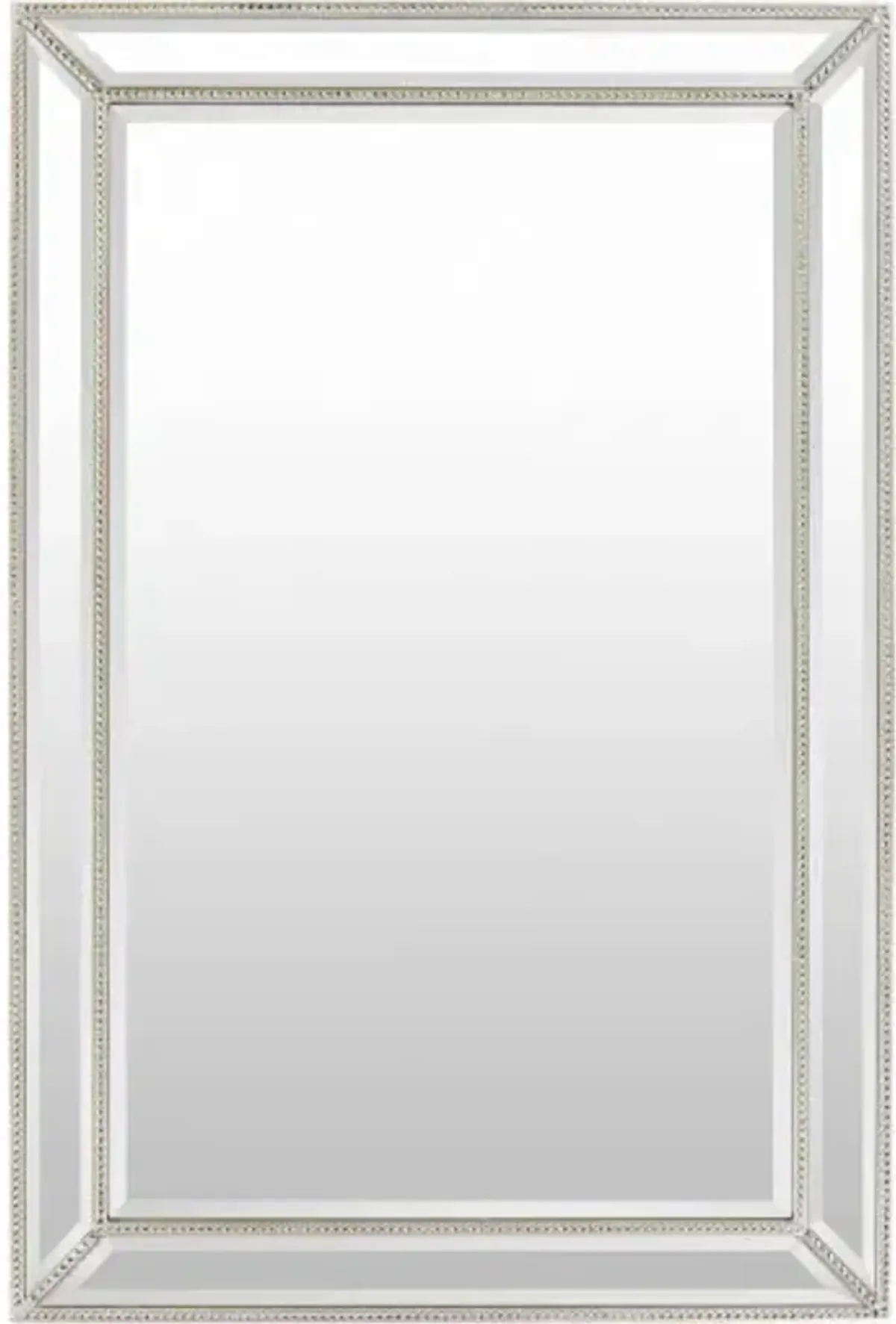 Pemberton 47"H x 32"W Mirror