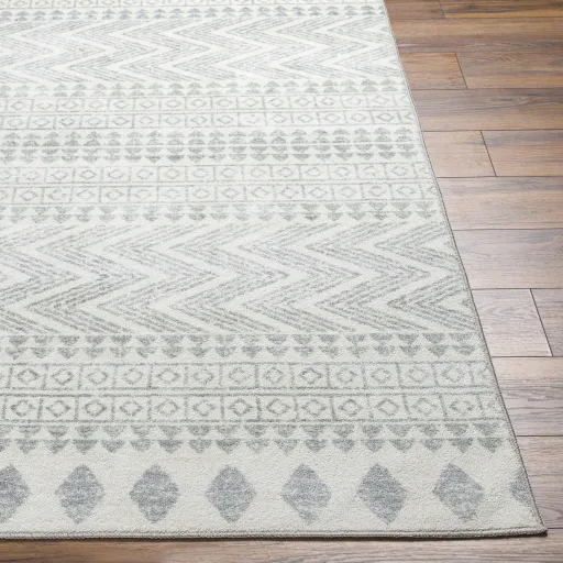 Hera HRH-2300 6'7" x 9' Machine Woven Rug