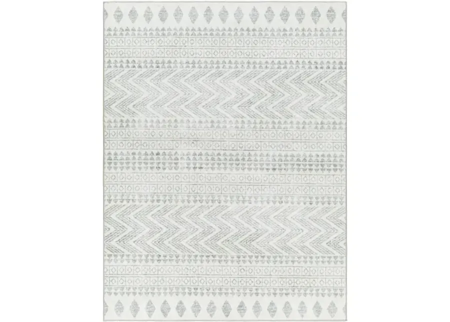 Hera HRH-2300 6'7" x 9' Machine Woven Rug