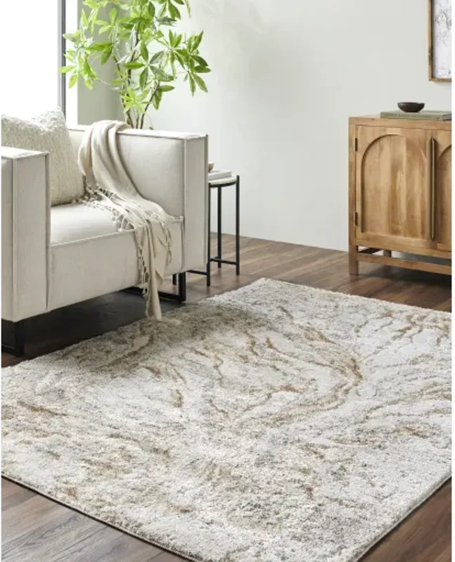 Andorra Plus ARP-2300 2' x 2'11" Machine Woven Rug