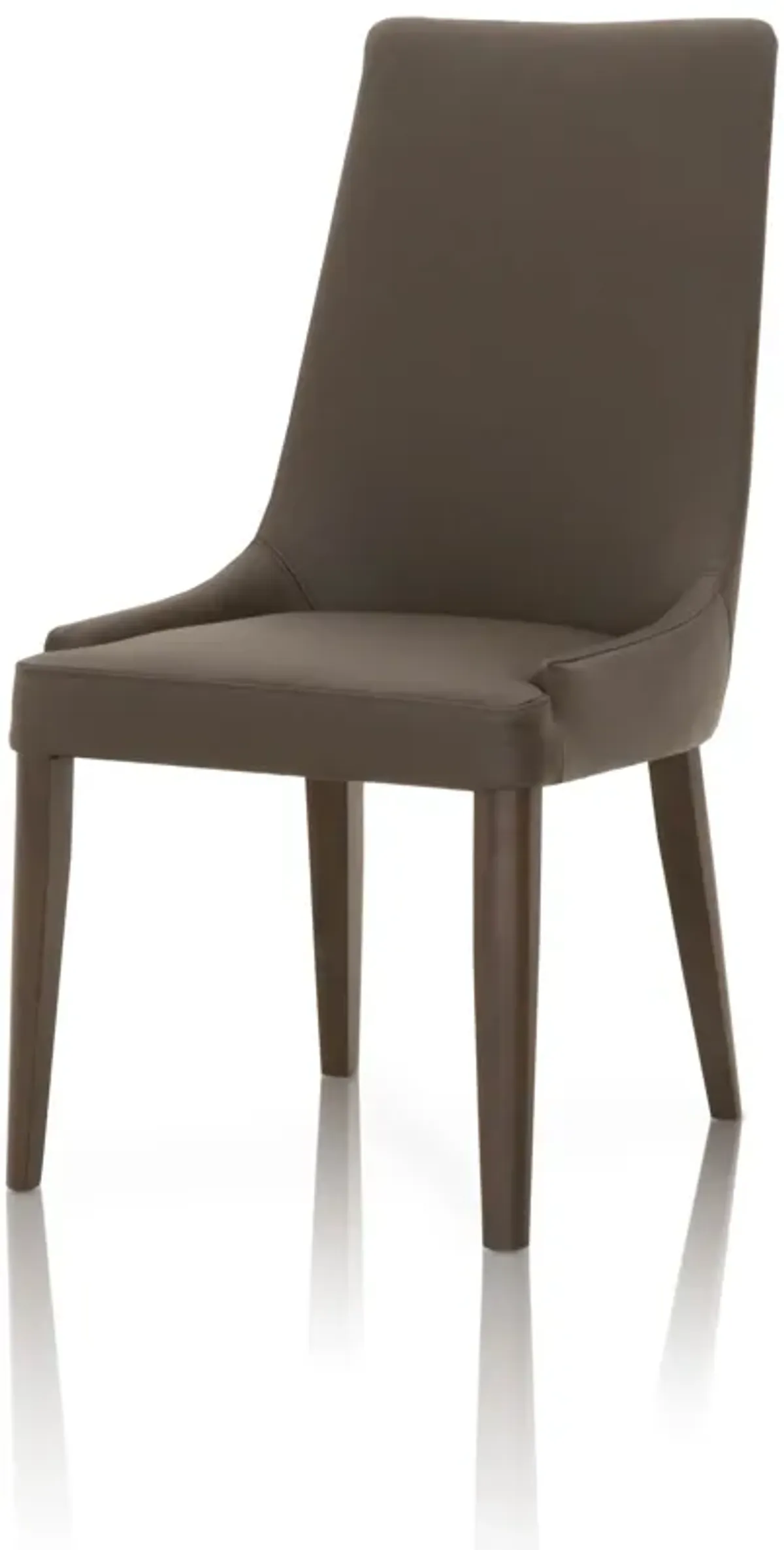 Aurora Dining Chair, Set of 2