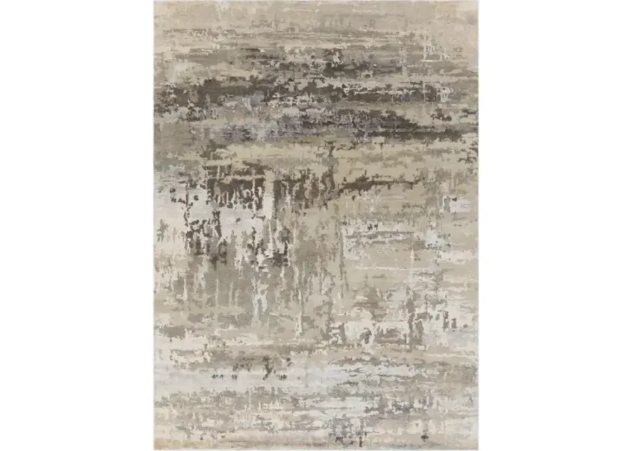 Arte 10' x 14' Rug