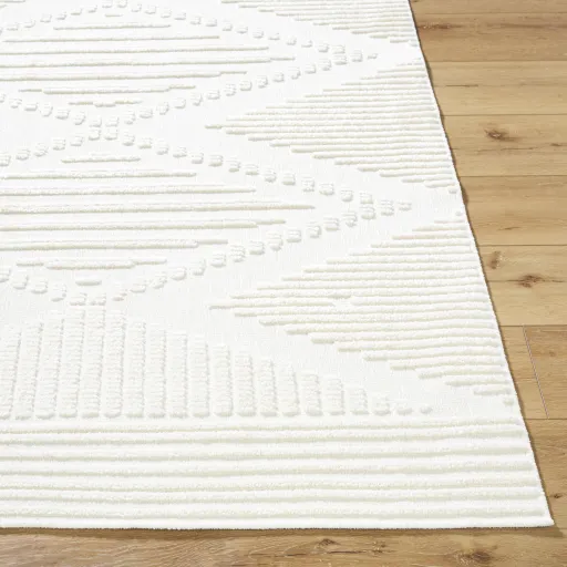 Lyna LYA-2341 3'3" x 5' Machine Woven Rug