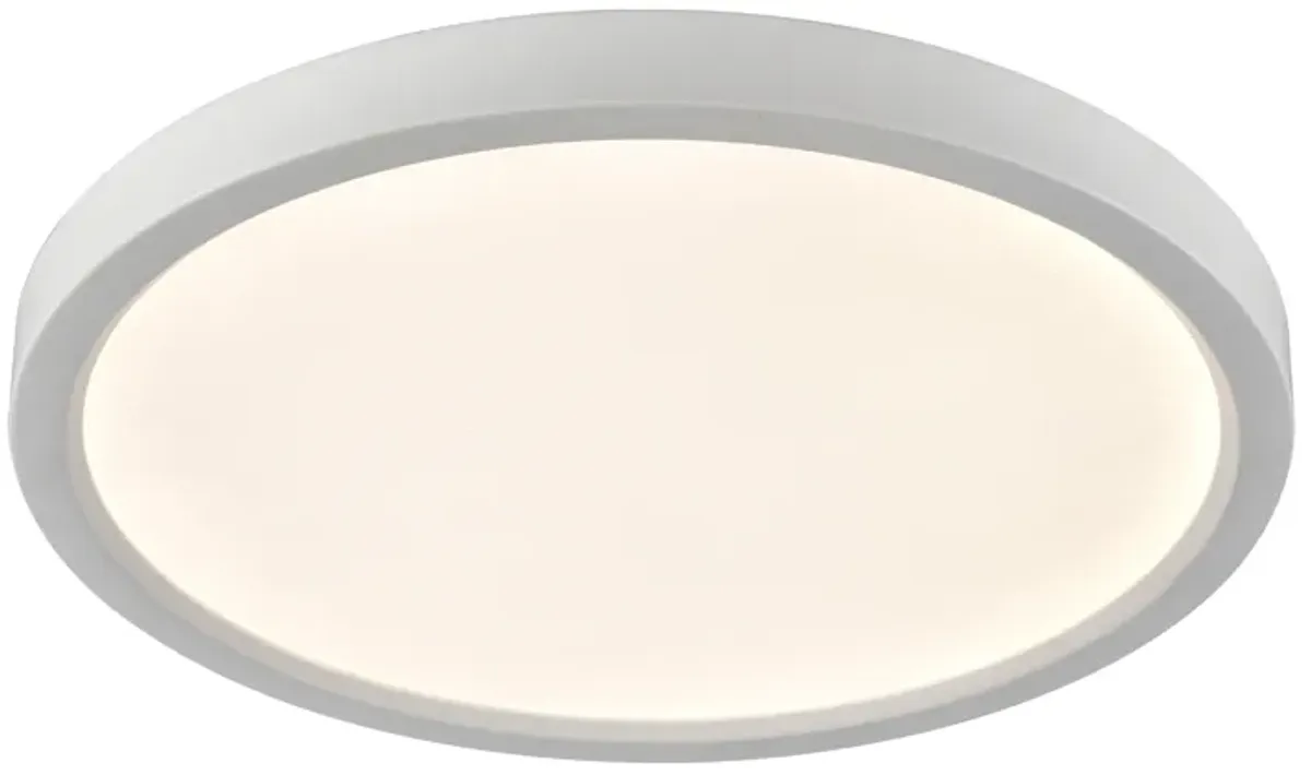 Titan 15'' Wide Integrated LED Round Flush Mount - White