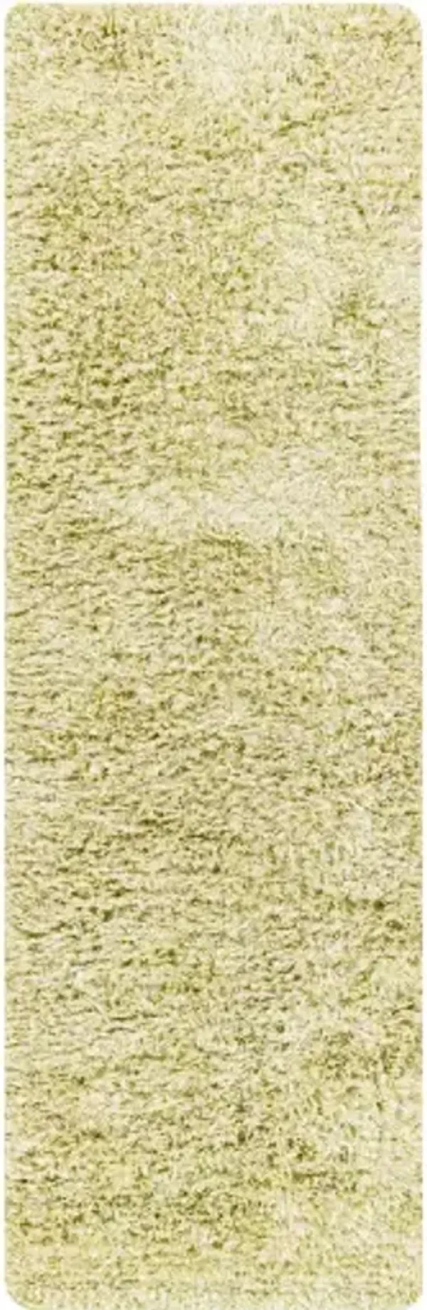 Anaheim AHM-2303 2'6" x 8' Rug