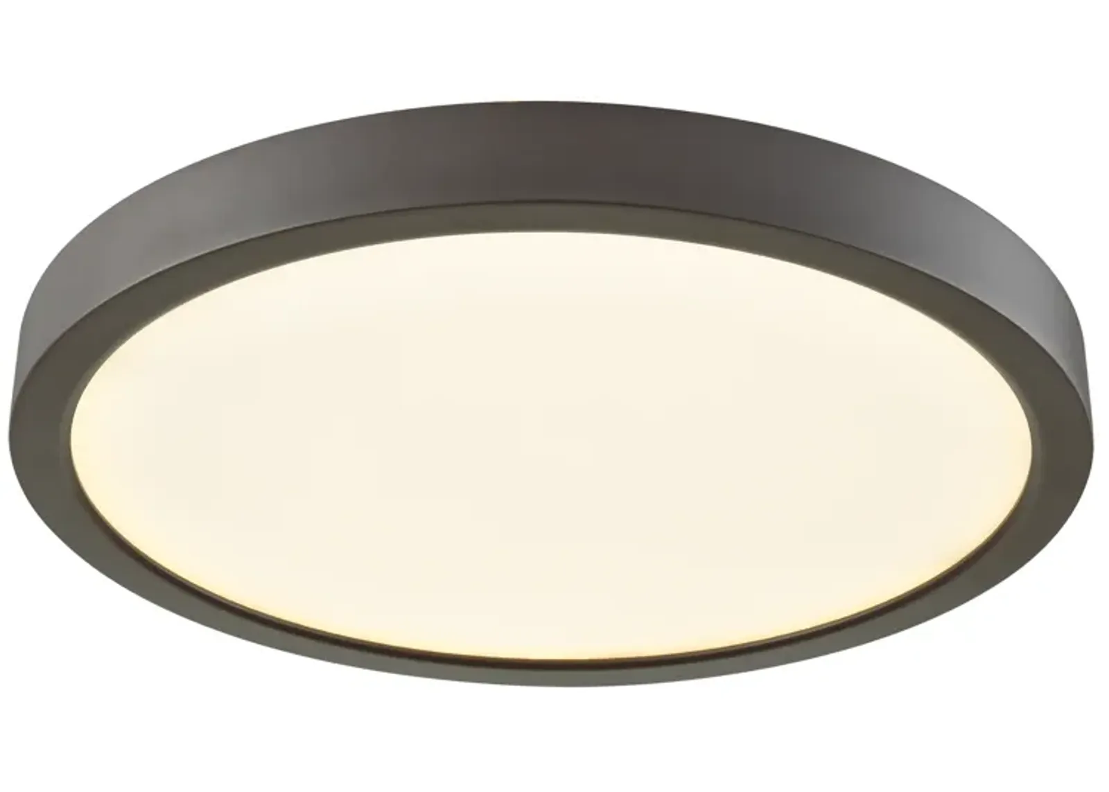 Titan 10'' Wide 1-Light Flush Mount - Oil Rubbed Bronze