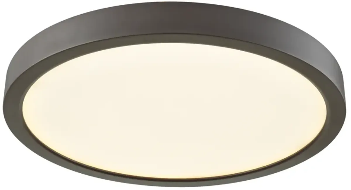 Titan 10'' Wide 1-Light Flush Mount - Oil Rubbed Bronze