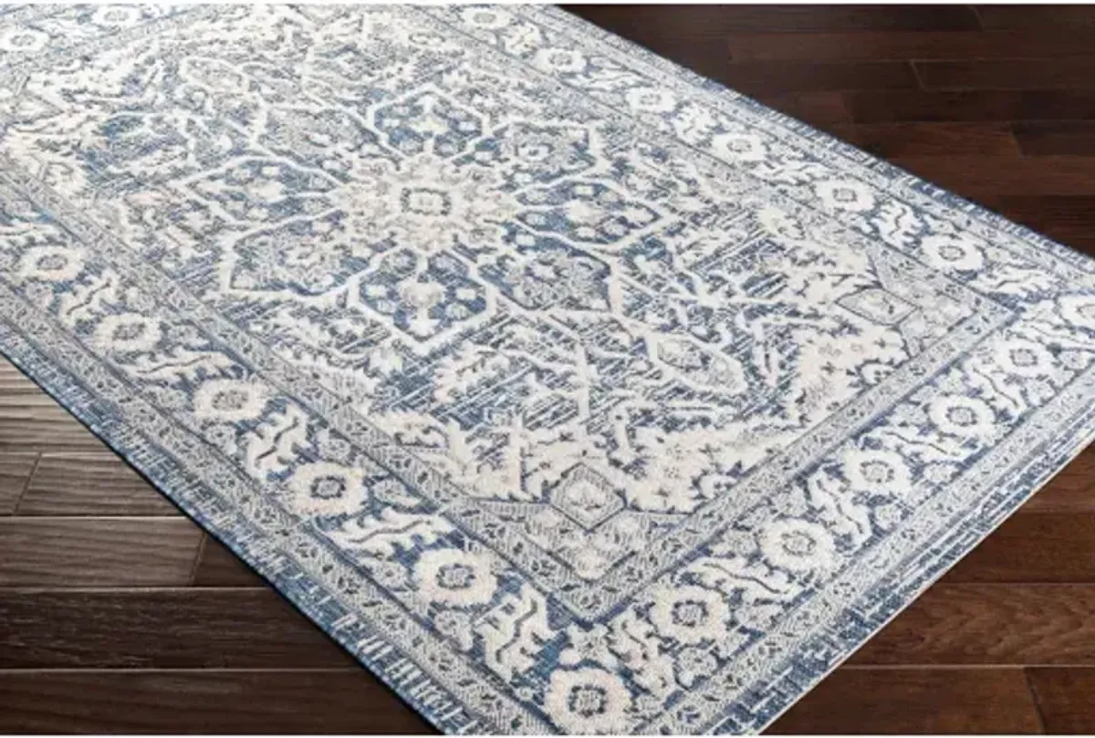 Eagean 8'10" x 12' Rug