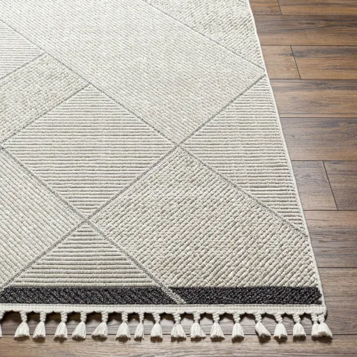 Finland FND-2303 6'7" x 9' Machine Woven Rug