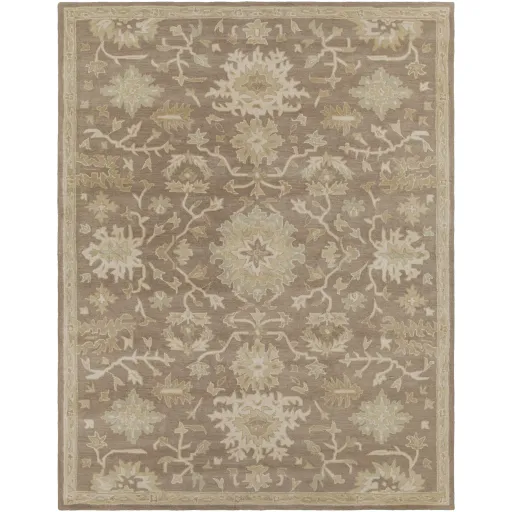 Caesar 5' x 8' Shaped Rug