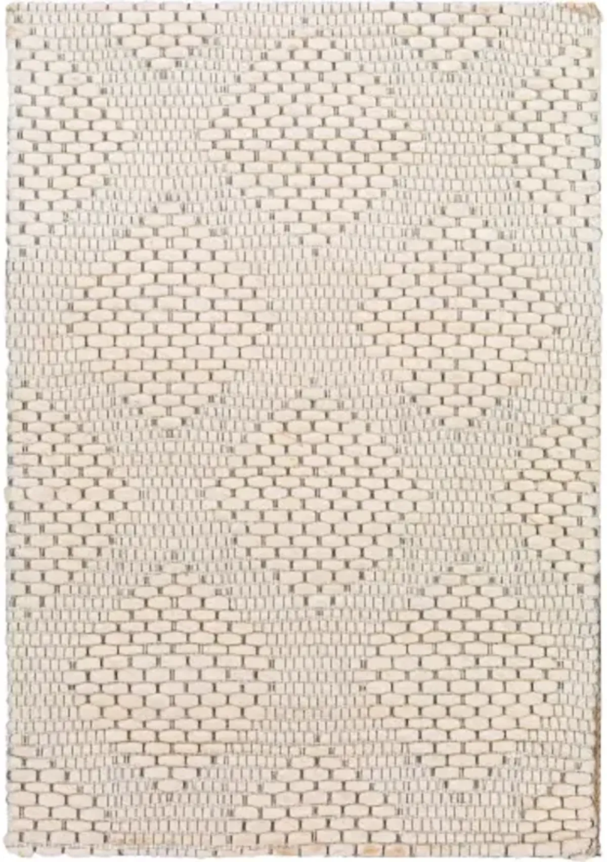 Colarado 2' x 3' Rug