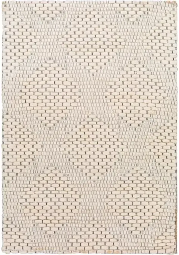 Colarado 2' x 3' Rug