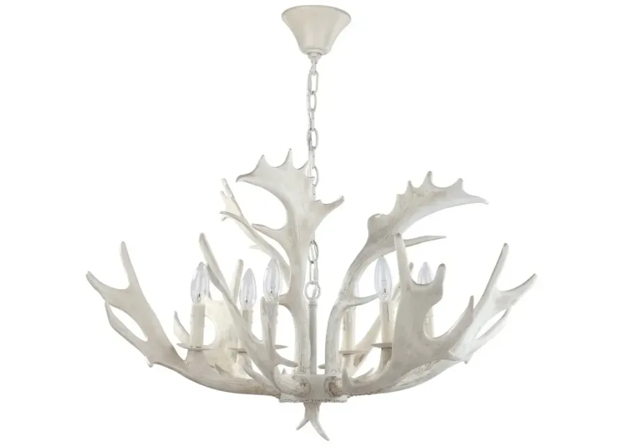 Birch Antler Chandelier