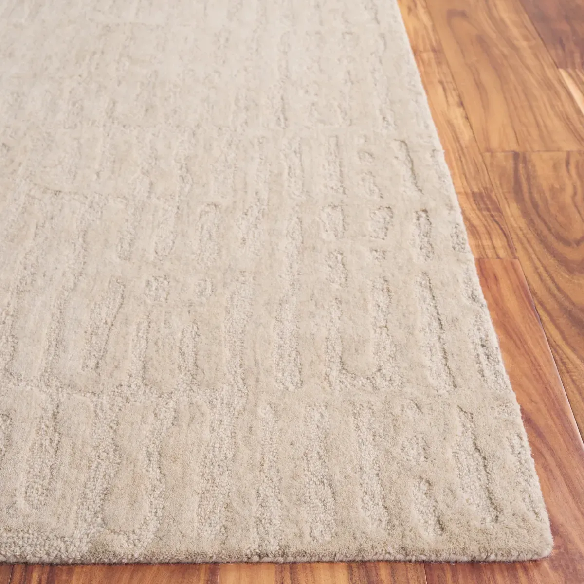 EBONY 918 BEIGE 2'-3' x 9' Runner Rug