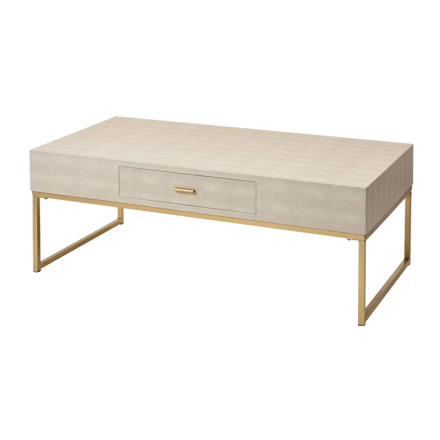 Les Revoires Faux Shagreen Coffee Table