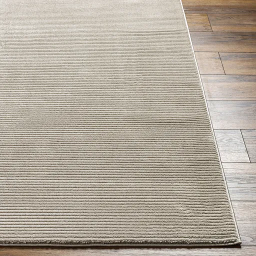 Alder ALD-2305 1'11" x 3'9" Machine Woven Rug