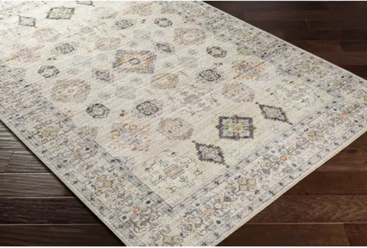 Leicester LEC-2303 2'7" x 7'3" Rug