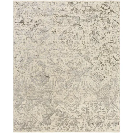 Amina AMA-2301 8' x 10' Handmade Rug