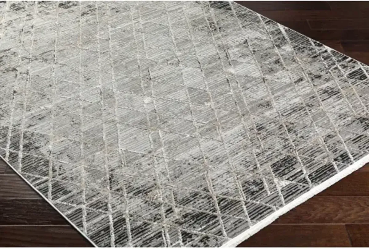 Obsession OBN-2301 5'3" x 7' Machine Woven Rug