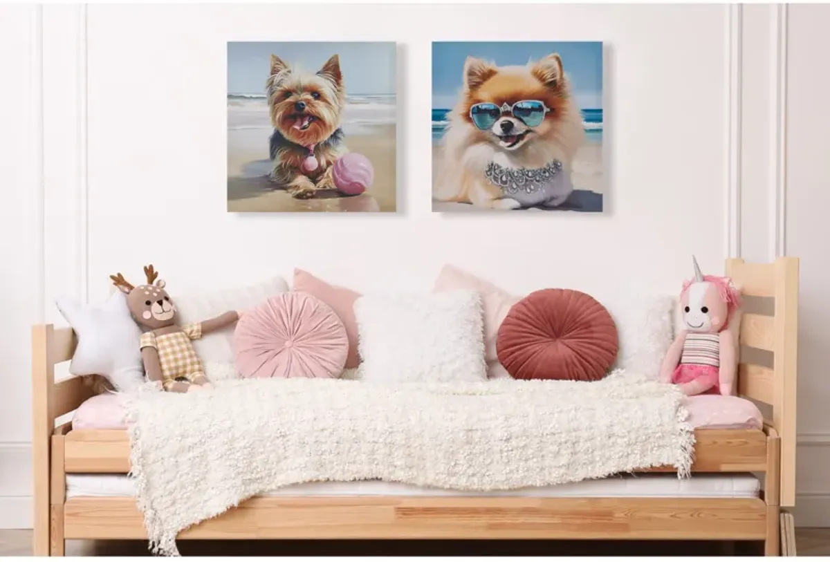 Beach Dogs Pomeranian Canvas Wall Art