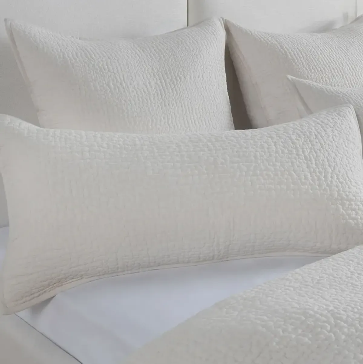 Danica 100% Cotton Bone King Sham 