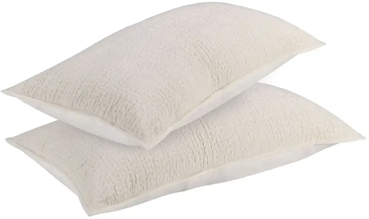 Danica 100% Cotton Bone King Sham 