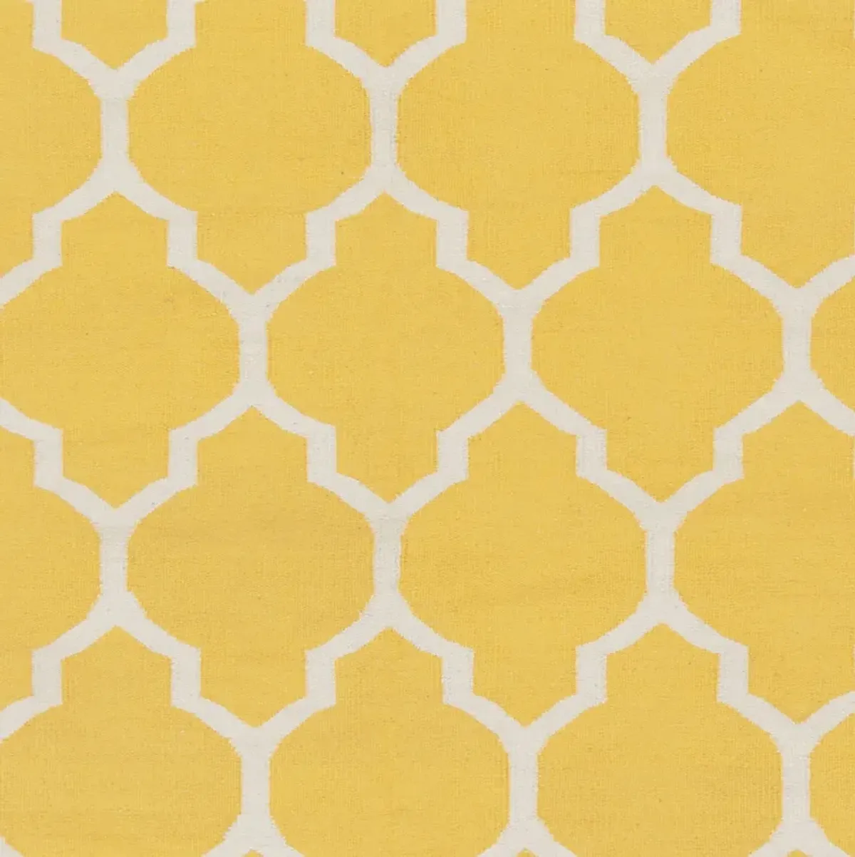 Vogue AWLT-3009 4' x 6' Hand Made Rug