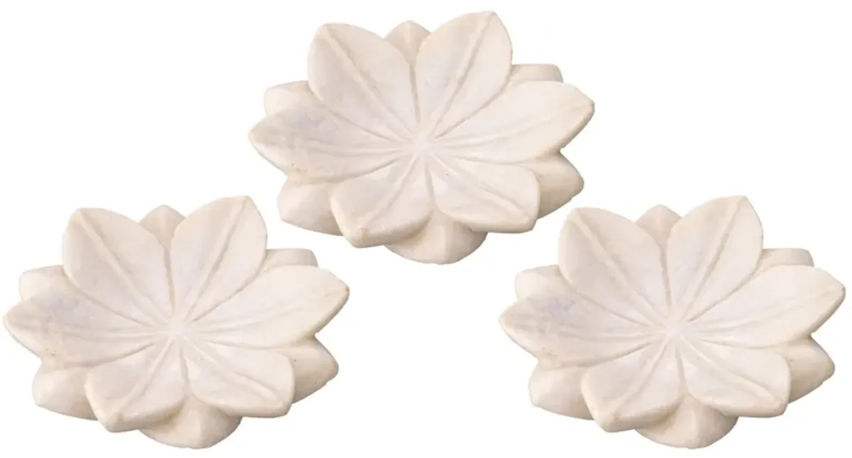 Lotus Plates - Set of 3