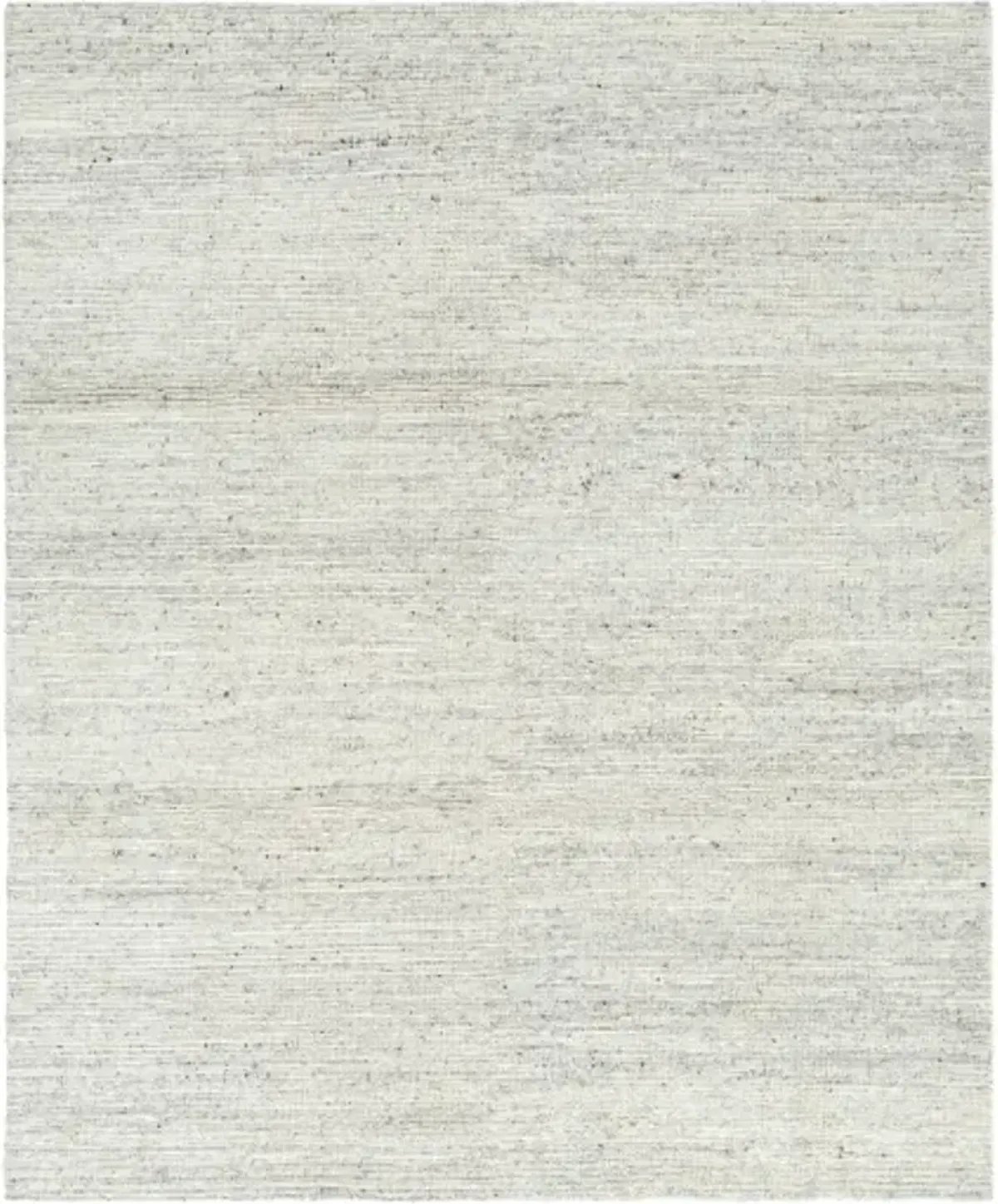 Japandi JPD-2301 10' x 14' Hand Made Rug