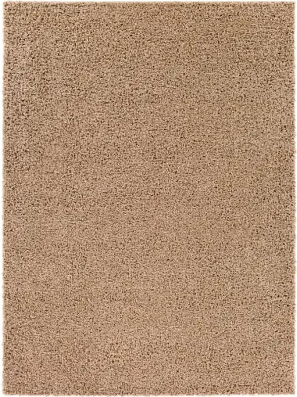 Bliss shag 2' x 3' Rug
