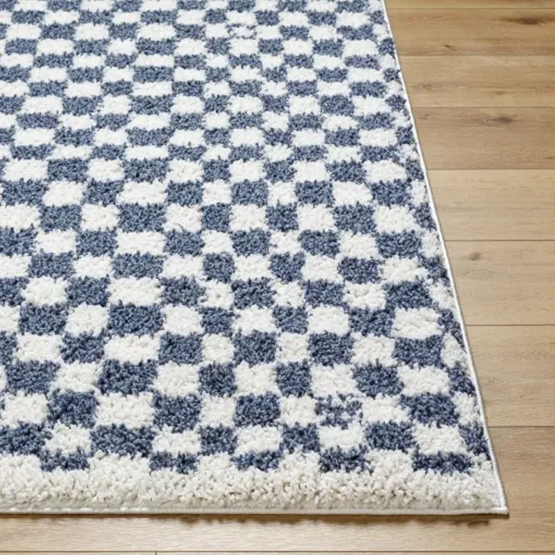 Birmingham BMM-2320 6'7" x 9' Machine Woven Rug